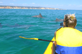 Dolphin View Sea Kayak and Beach 4x4 Adventure