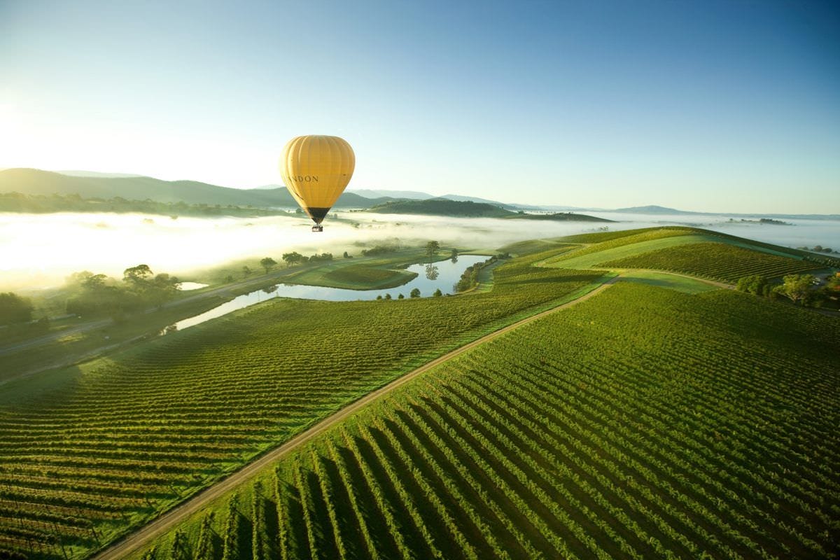 Ballooning the Yarra Valley with Breakfast - Yarra Valley