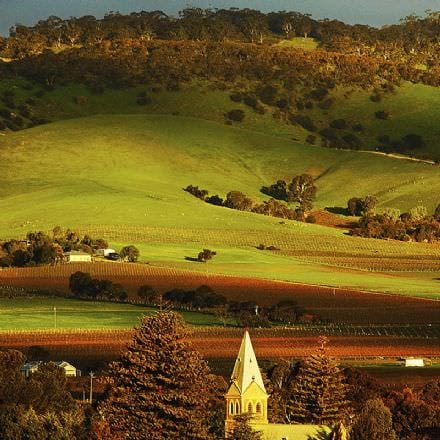 Barossa Valley 1/2 Day Tour for Two